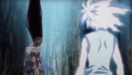 Hunter x Hunter fan art cover pic